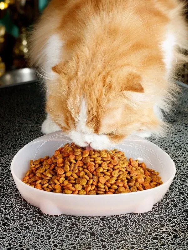 Миска для кошек Japan Premium Pet силиконовая 310 мл, цвет розовый. — Japan Premium Pet, 50 баллов за отзыв Яндекс Маркет