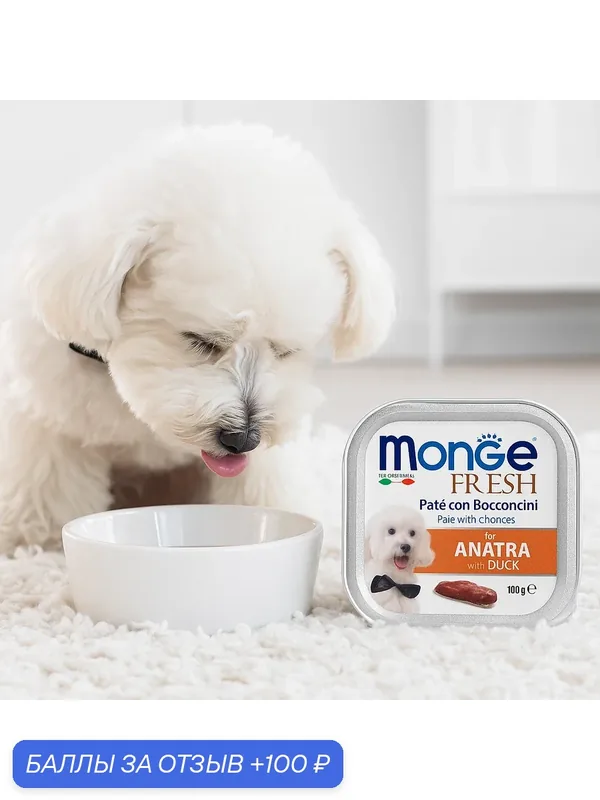 Консервы для собак Monge Dog Fresh, влажный корм, с уткой, 100гр, 4шт — Monge, 100 баллов за отзыв Яндекс Маркет