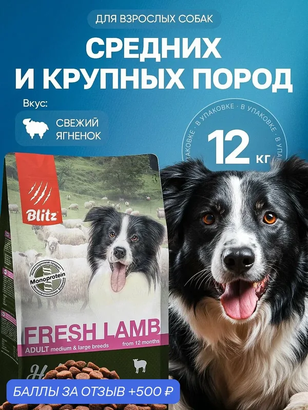Сухой корм Blitz Holistic, для средних и крупных пород собак, со свежим ягненком, 12 кг — Blitz, 500 баллов за отзыв Яндекс Маркет