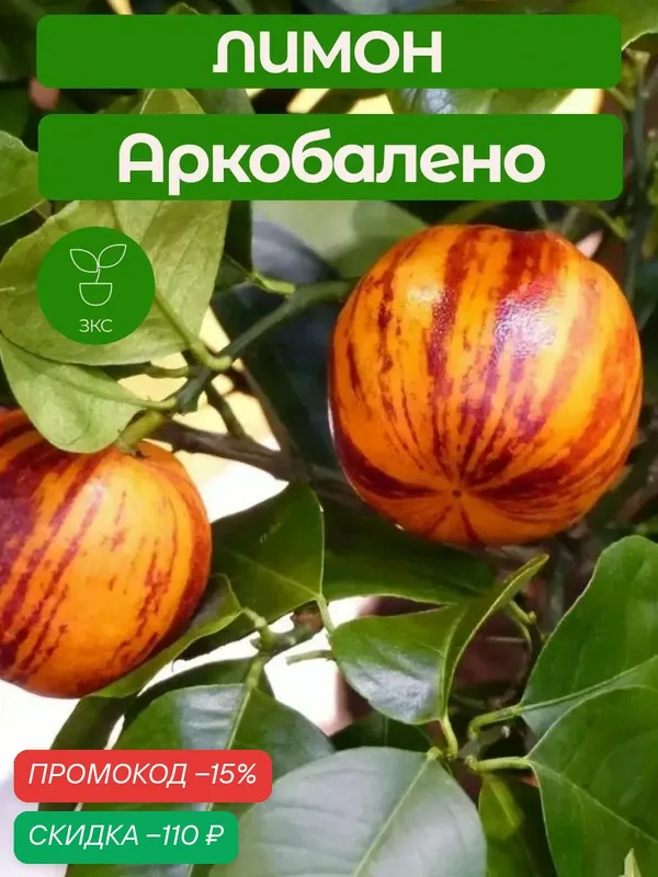 Лимон Аркобалено — скидка по промокоду Яндекс Маркет