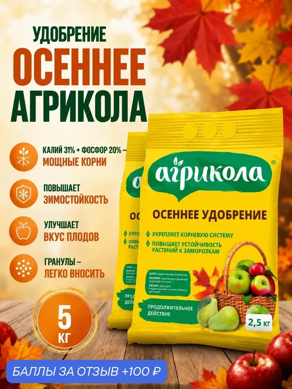 Удобрение Агрикола Осеннее для сада и плодовых культур, 5 кг — Агрикола, 100 баллов за отзыв Яндекс Маркет