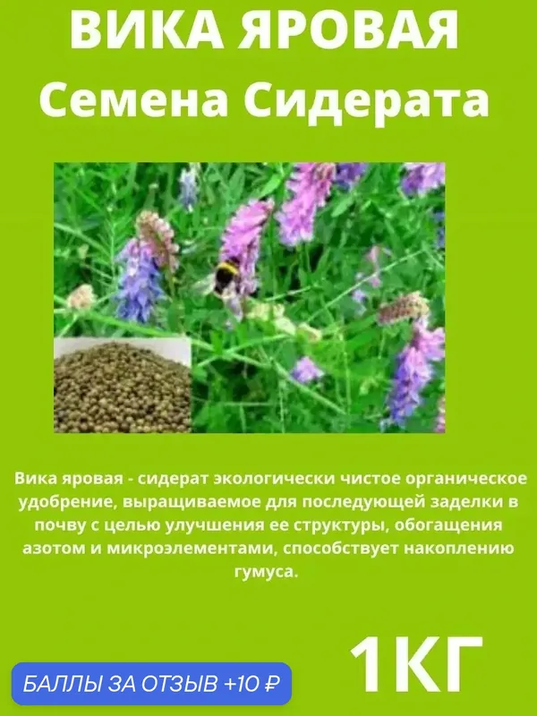 Вика Яровая, семена сидерат 1 кг — Очумелый ОгородNIK, 10 баллов за отзыв Яндекс Маркет