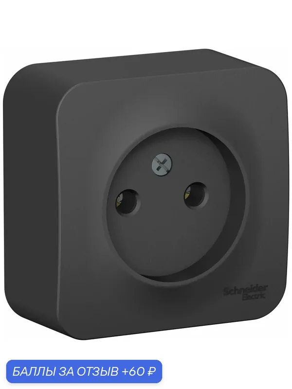 Розетка антрацит Systeme Electric Blanca без заземления без шторок 16А, 250В, изолир. Пластина — Systeme Electric, 60 баллов за отзыв Яндекс Маркет