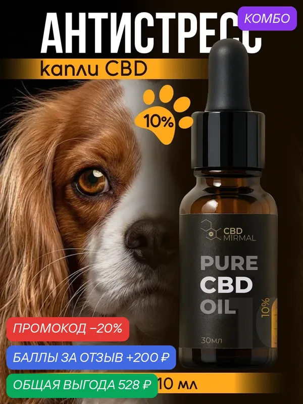 Успокоительное масло CBD для собак весом от 10 кг (10%) 10 мл — MIRMAL CBD, промокод и 200 баллов за отзыв Яндекс Маркет