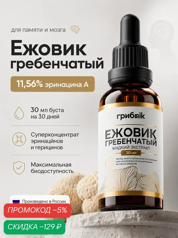 Экстракт ежовика гребенчатого + холин для мозга, 120 капсул, грибnik — грибNik, скидка по промокоду Яндекс Маркет