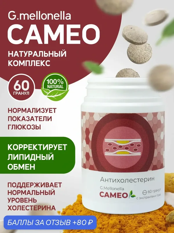 Огневка Камея - для снижения уровня холестерина в крови, гипертониия, повышенный холестерин 60 гранул — Touch Zhiva, 80 баллов за отзыв Яндекс Маркет
