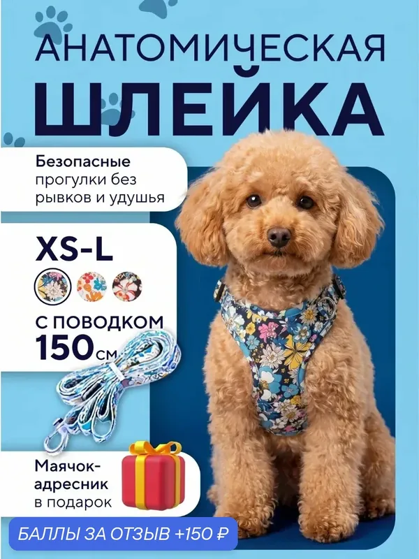 Шлейка для собак, с поводком, для средних и мелких пород, анатомическая, светоотражающая (синяя) — 150 баллов за отзыв Яндекс Маркет