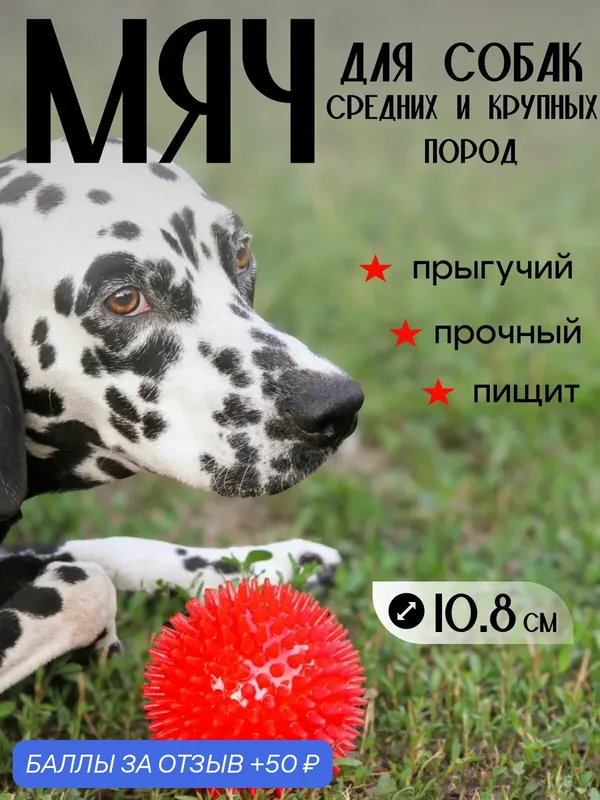 Мячик для собак крупных и средних пород с пищалкой от ZooKrut — ZOOKRUT, 50 баллов за отзыв Яндекс Маркет