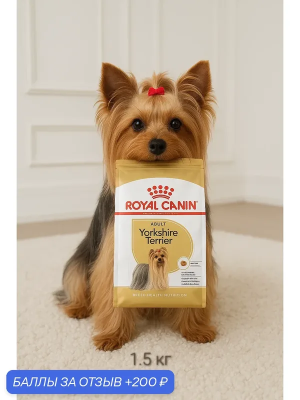 Сухой корм для собак Royal Canin Йоркширский терьер для здоровья кожи и шерсти 1.5 кг — Royal Canin, 200 баллов за отзыв Яндекс Маркет