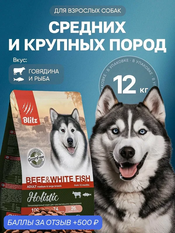 Сухой корм Blitz Holistic, для взрослых собак средних и крупных пород, говядина/белая рыба, 12кг — Blitz, 500 баллов за отзыв Яндекс Маркет