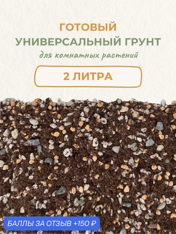 Готовый грунт фикуса, пальмы и драцены. Универсальный готовый грунт для цветов комнатных. 2 литра — 150 баллов за отзыв Яндекс Маркет