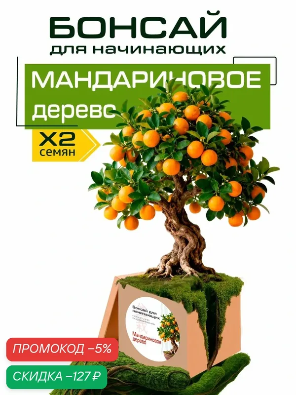Набор для выращивания "Бонсай для начинающих. Мандариновое дерево" — скидка по промокоду Яндекс Маркет