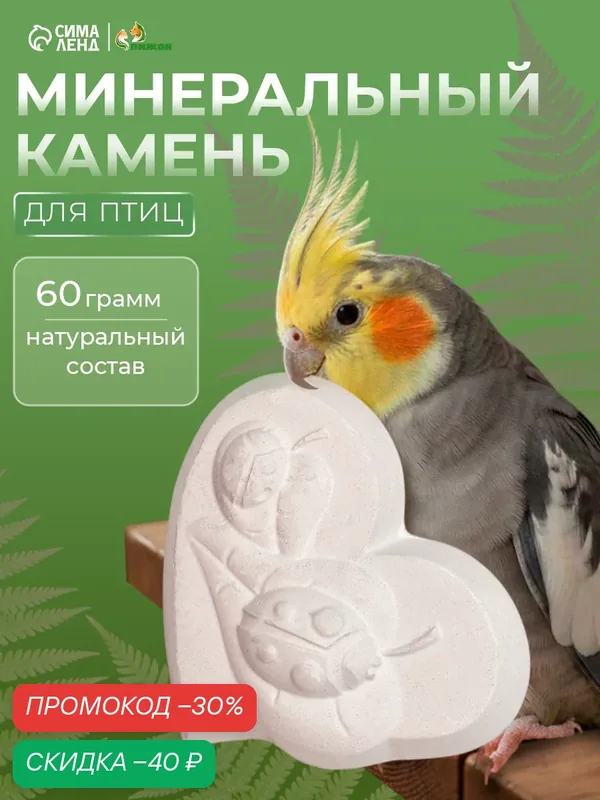 Минеральный камень Пижон, для птиц, с углем, кормовой мел, известняк, гипс — ПИЖОН, скидка по промокоду Яндекс Маркет