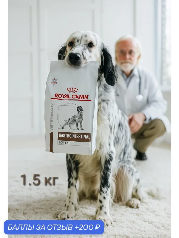 Корм Royal Canin "GASTRO INTESTINAL", для взрослых собак, для здоровья ЖКТ, 1.5 кг — Royal Canin, 200 баллов за отзыв Яндекс Маркет
