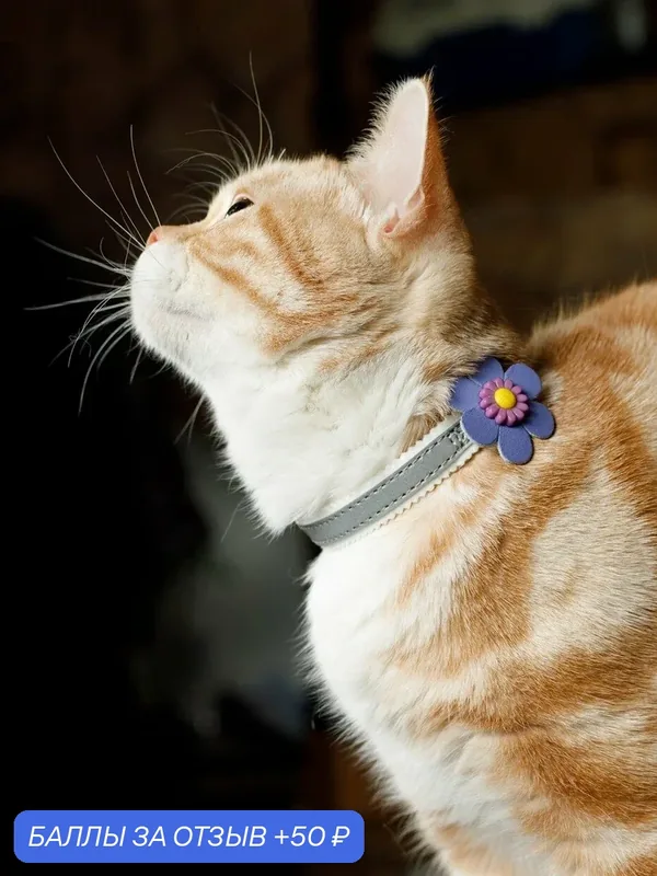 Безопасный мягкий ошейник Japan Premium Pet "Вот и Лето Пришло" с системой защиты от удушения с фиолетовым цветком, размер S — Japan Premium Pet, 50 баллов за отзыв Яндекс Маркет