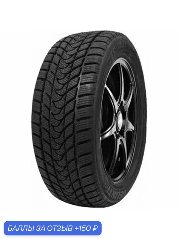 Шина Delinte Winter WD1 175/70 R14 88Т — DELINTE, 150 баллов за отзыв Яндекс Маркет