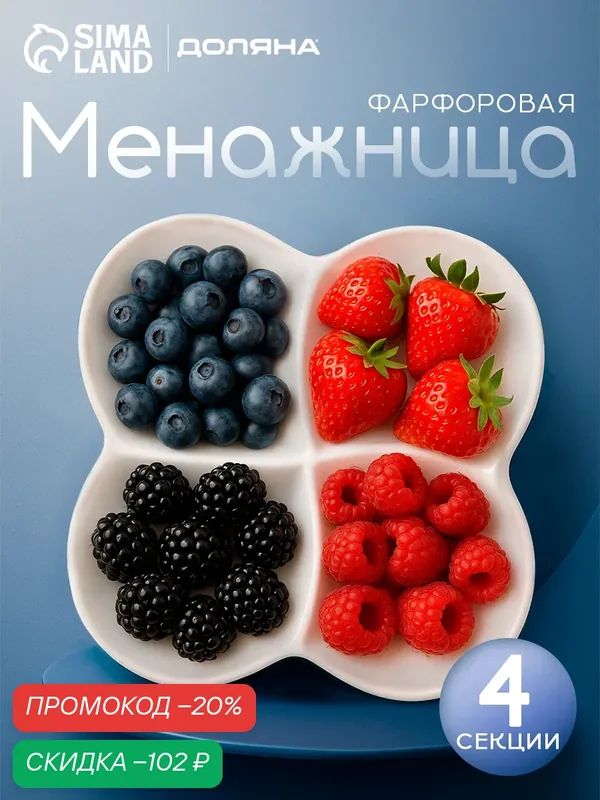 Менажница Доляна White Label, 4 секции, 20×2.5 см, фарфор, белая — Доляна, скидка по промокоду Яндекс Маркет