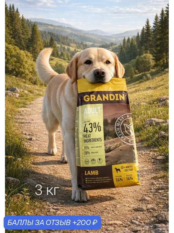 Сухой корм Grandin для взрослых собак всех пород, с ягненком, 3 кг — Grandin, 200 баллов за отзыв Яндекс Маркет