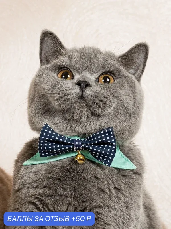 Ошейник чокер безопасный праздничный Japan Premium Pet для стильного модника с системой защитой от удушения, размер 3S — Japan Premium Pet, 50 баллов за отзыв Яндекс Маркет