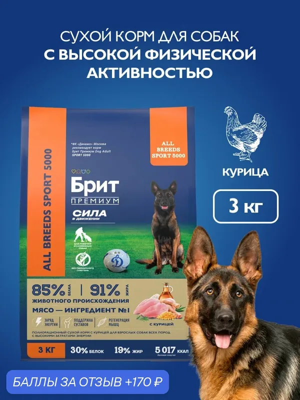Сухой корм для активных собак с высокими затратами энергии, 3 кг — Брит, 170 баллов за отзыв Яндекс Маркет