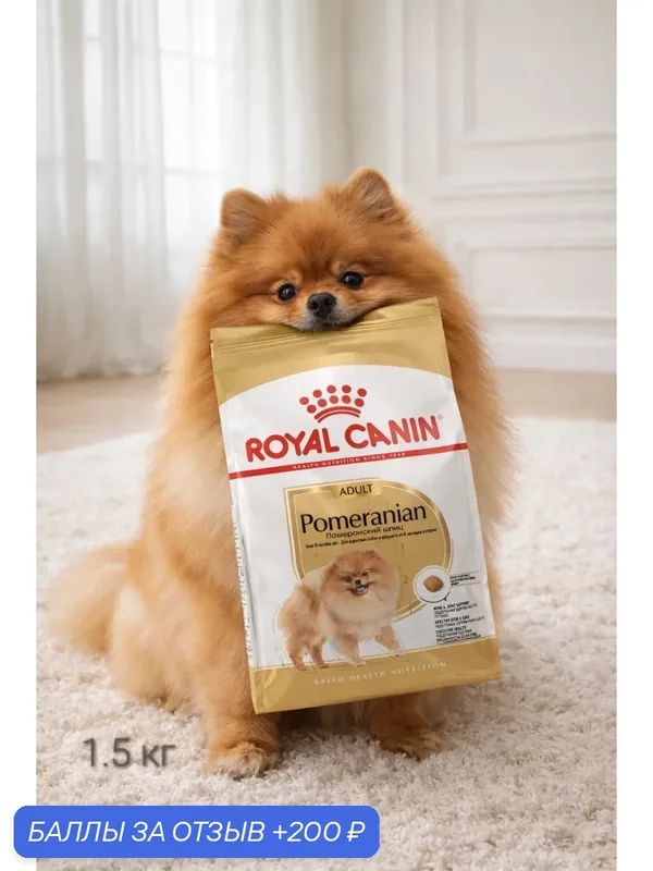 Сухой корм Royal Canin Pomeranian Adult для взрослых собак породы Померанский Шпиц 1, 5 кг — Royal Canin, 200 баллов за отзыв Яндекс Маркет