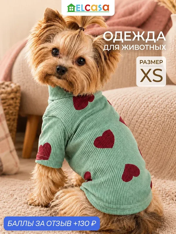 Одежда для животных водолазка XS ELCASA зеленый, для кошек и собак — EL CASA, 130 баллов за отзыв Яндекс Маркет