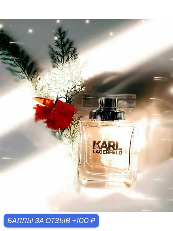 Karl Lagerfeld парфюмерная вода Karl Lagerfeld for Her, 45 мл — Karl Lagerfeld, 100 баллов за отзыв Яндекс Маркет