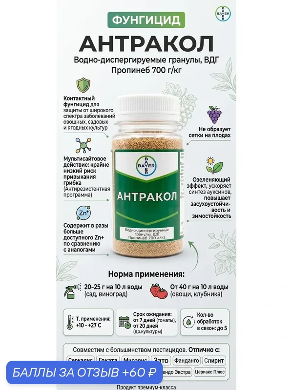 Фунгицид Антракол, 100 грамм Контактный фунгицид для защиты от широкого спектра заболеваний овощных, садовых и ягодных культур, фасовка — Bayer, 60 баллов за отзыв Яндекс Маркет