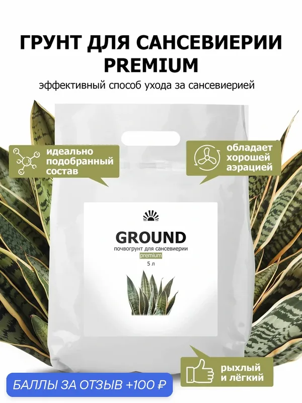 Грунт для сансевиерии (тёщин язык) Premium – рыхлая земля для суккулентов, 5 л — Purshat, 100 баллов за отзыв Яндекс Маркет
