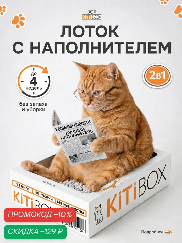 Наполнитель и лоток 2-в-1 KiTiBOX. Долгоиграющий одноразовый туалет для котов — KiTiBOX, скидка по промокоду Яндекс Маркет