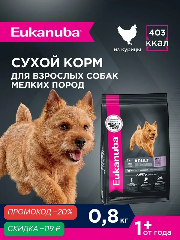 Сухой корм для собак Eukanuba Adult Small Breed для мелких пород, 0, 8 кг — Eukanuba, скидка по промокоду Яндекс Маркет