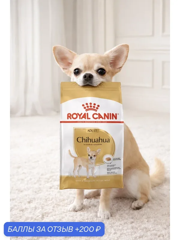 Корм для собак Royal Canin "Chihuahua", чихуахуа супер-премиум, для взрослых, 1.5 кг — Royal Canin, 200 баллов за отзыв Яндекс Маркет