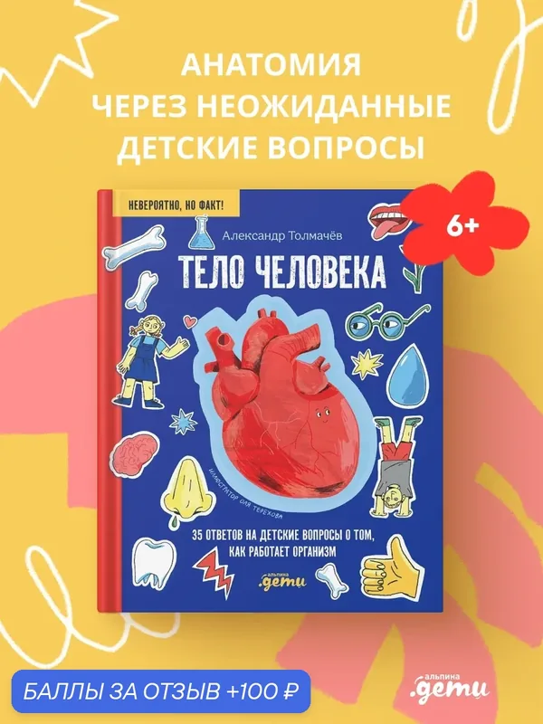 Книга "Тело человека. 35 ответов на детские вопросы о том, как работает организм" / Толмачёв Александр Вячеславович — Альпина. Дети, 100 баллов за отзыв Яндекс Маркет