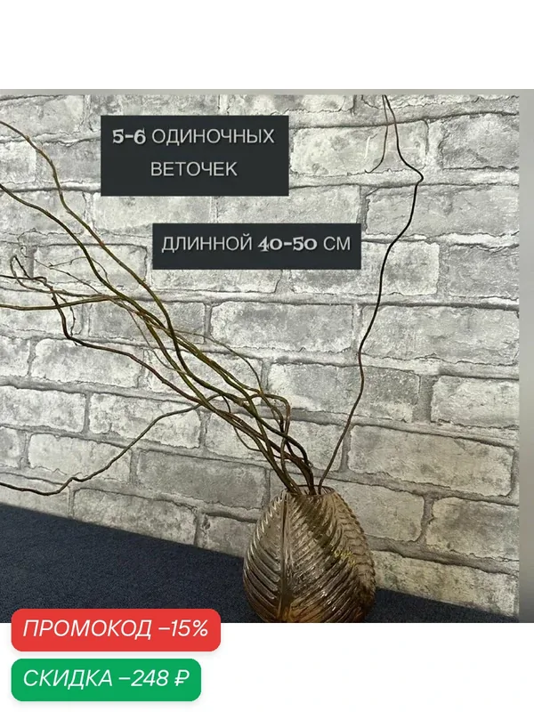 Сухоцветы для декора корилус 5-6 веток, декоративные ветки ивы извилистой. — скидка по промокоду Яндекс Маркет