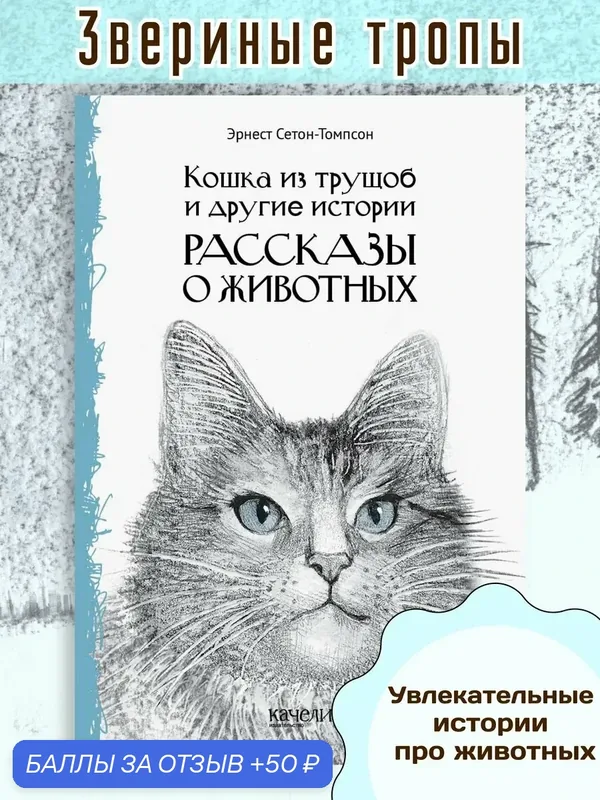 Кошка из трущоб и другие истории — Качели, 50 баллов за отзыв Яндекс Маркет