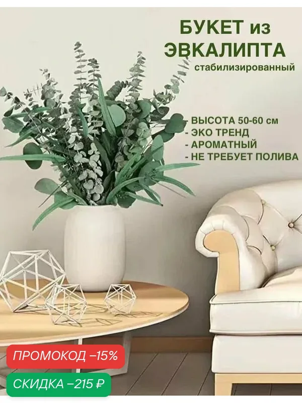 Стабилизированный эвкалипт для декора и подарка – натуральный сухоцвет с ароматом, долговечный букет для интерьера — скидка по промокоду Яндекс Маркет