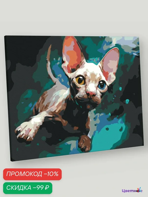 Картина по номерам на холсте с подрамником "Котенок сфинкс", Раскраска 40x50 см, Кошки Животные — Цветное, скидка по промокоду Яндекс Маркет