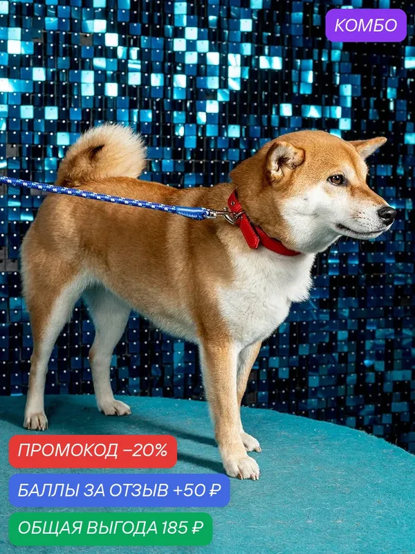 Поводок-спандер эластичный Japan Premium Pet с функцией гашения рывков собаки, синий, размер S — Japan Premium Pet, промокод и 50 баллов за отзыв Яндекс Маркет