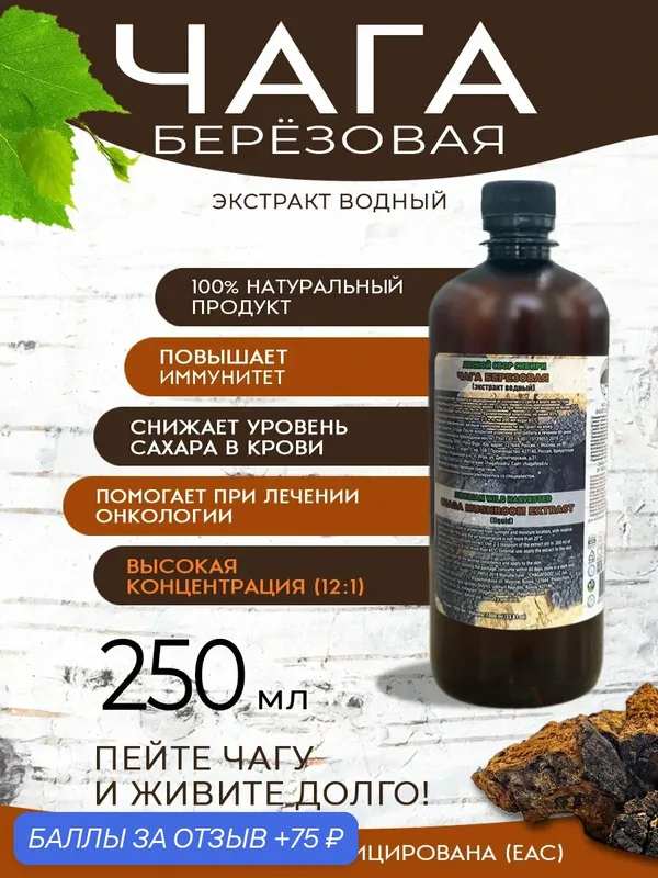Экстракт чаги березовой, жидкий, водный, 12:1 от чага ФУД, 250 мл — Чага Фуд, 75 баллов за отзыв Яндекс Маркет