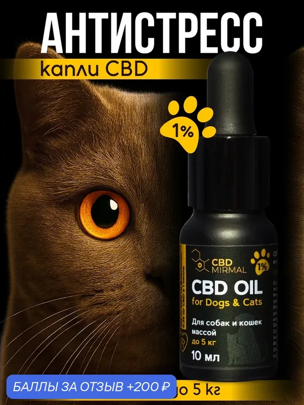 Успокоительное масло для котят и кошек весом до 5 кг (1%) 10 мл — MIRMAL CBD, скидка по промокоду Яндекс Маркет