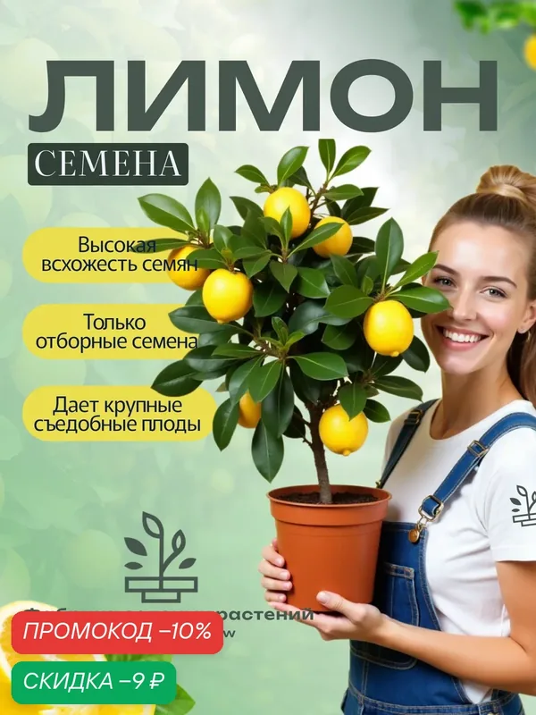 Домашний лимон, семена — Фабрика зеленых растений everything will grow, скидка по промокоду Яндекс Маркет
