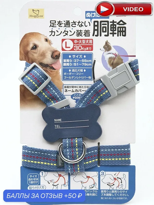 Шлейка для собак с адресником "Надеть в два движения" Japan Premium Pet с силиконовой защитой, размер M, синий — Japan Premium Pet, 50 баллов за отзыв Яндекс Маркет