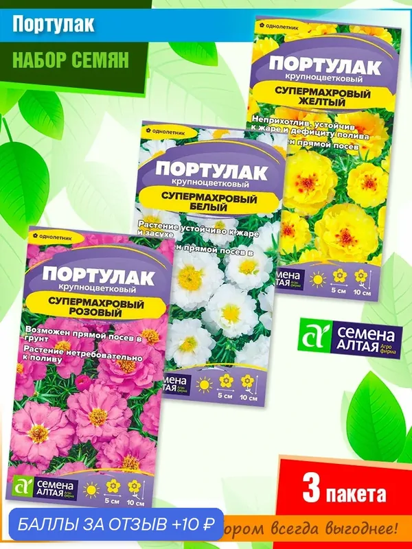 Набор семян портулака Супермахрового от компании Семена Алтая (3 пачки) — Семена Алтая, 10 баллов за отзыв Яндекс Маркет
