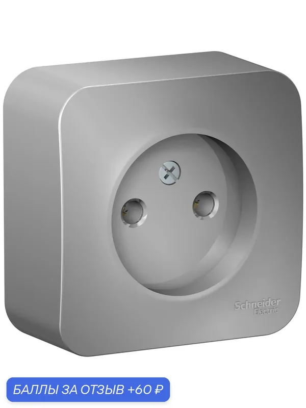 Розетка алюминий Systeme Electric Blanca без заземления без шторок 16А, 250В, изолир. Пластина — Systeme Electric, скидка по промокоду Яндекс Маркет