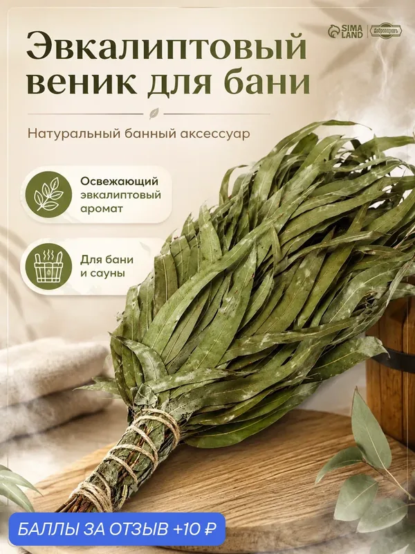 Веник для бани Добропаровъ, эвкалиптовый, 53(+-2) см, зеленый — Добропаровъ, 10 баллов за отзыв Яндекс Маркет
