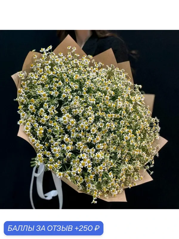 Букет из 51 матрикарии (полевые ромашки), оформление в крафте — Freedom Flowers, 250 баллов за отзыв Яндекс Маркет