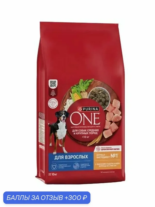 Сухой корм для собак Purina ONE для средних и крупных пород, с курицей и рисом, 10 кг — 300 баллов за отзыв Яндекс Маркет