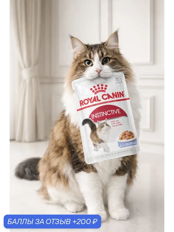 Влажный корм для кошек Royal Canin Instinctive в желе 85 г х 28 шт — Royal Canin, 200 баллов за отзыв Яндекс Маркет