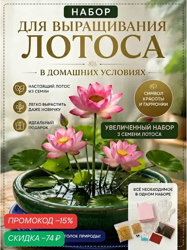 Большой набор для выращивания лотоса в домашних условиях из семян | растение для дома и дачи | подарочный набор — скидка по промокоду Яндекс Маркет