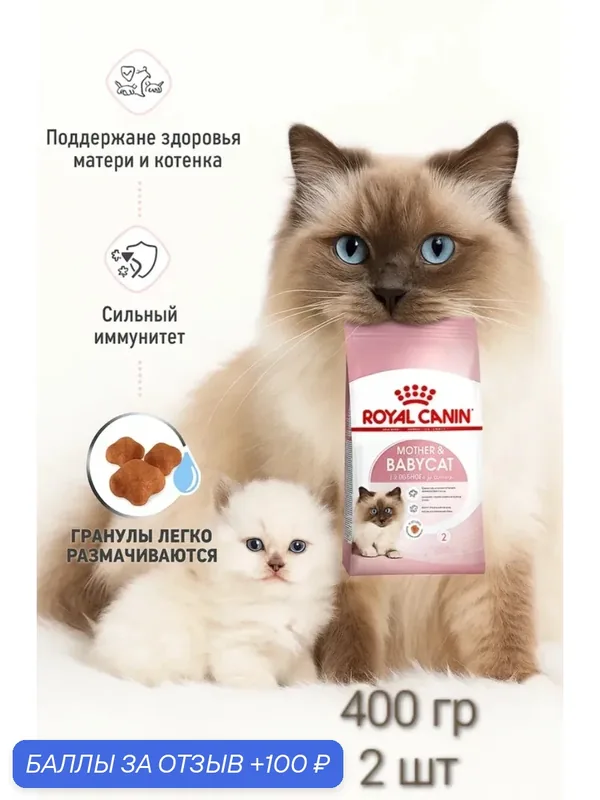 Сухой корм для беременных и кормящих кошек, для котят Royal Canin Mother&Babycat 400 г, 2 шт — Royal Canin, 100 баллов за отзыв Яндекс Маркет